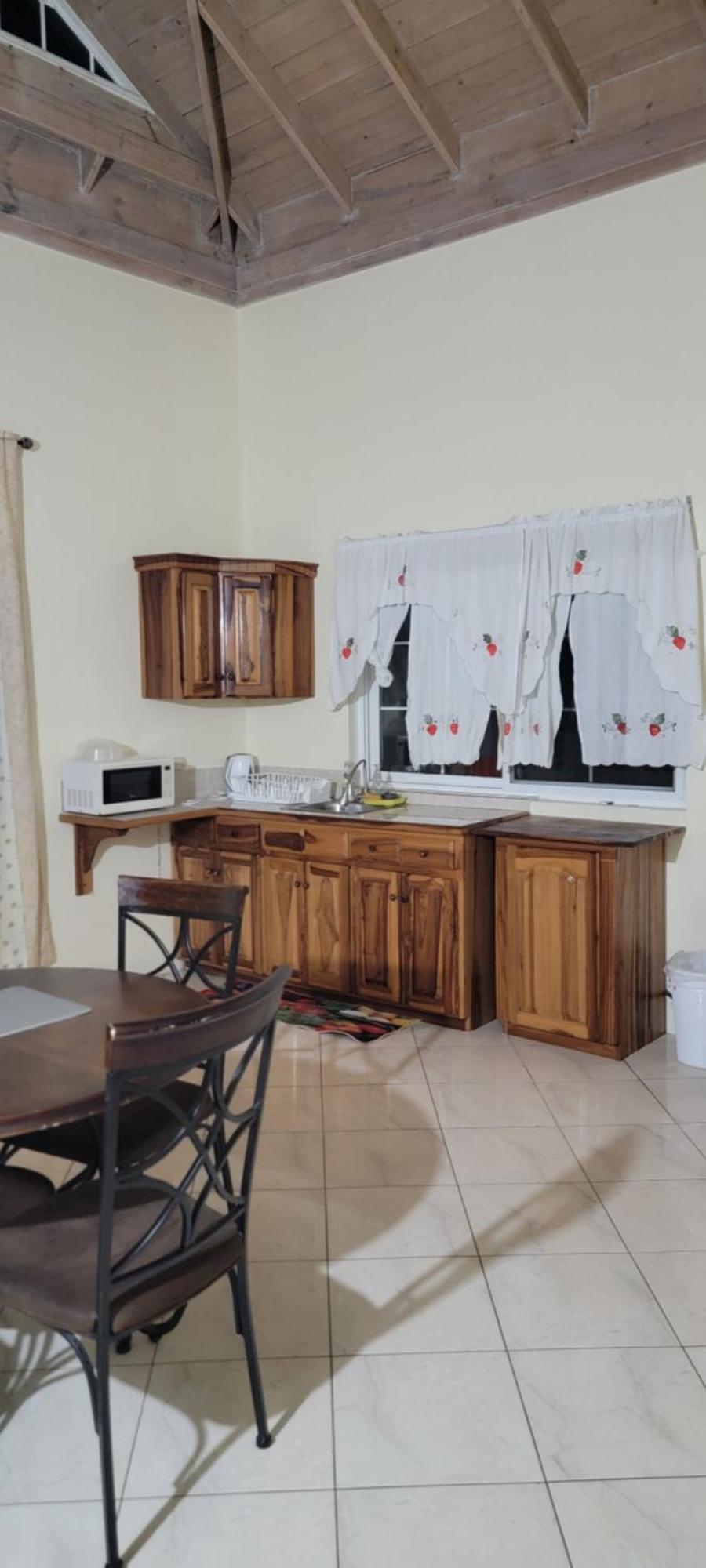 Wizzy Apartment White River Очо Риос Екстериор снимка