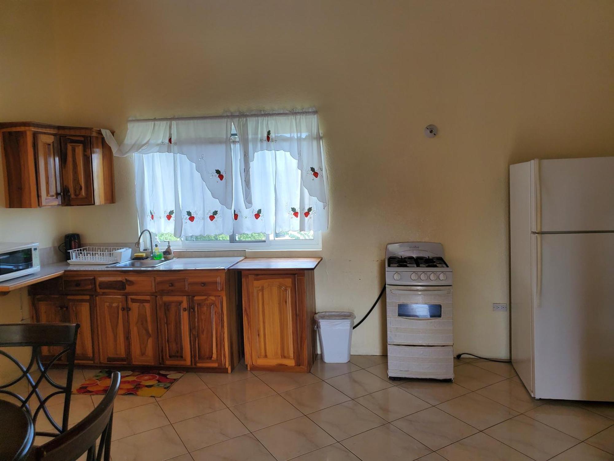 Wizzy Apartment White River Очо Риос Екстериор снимка