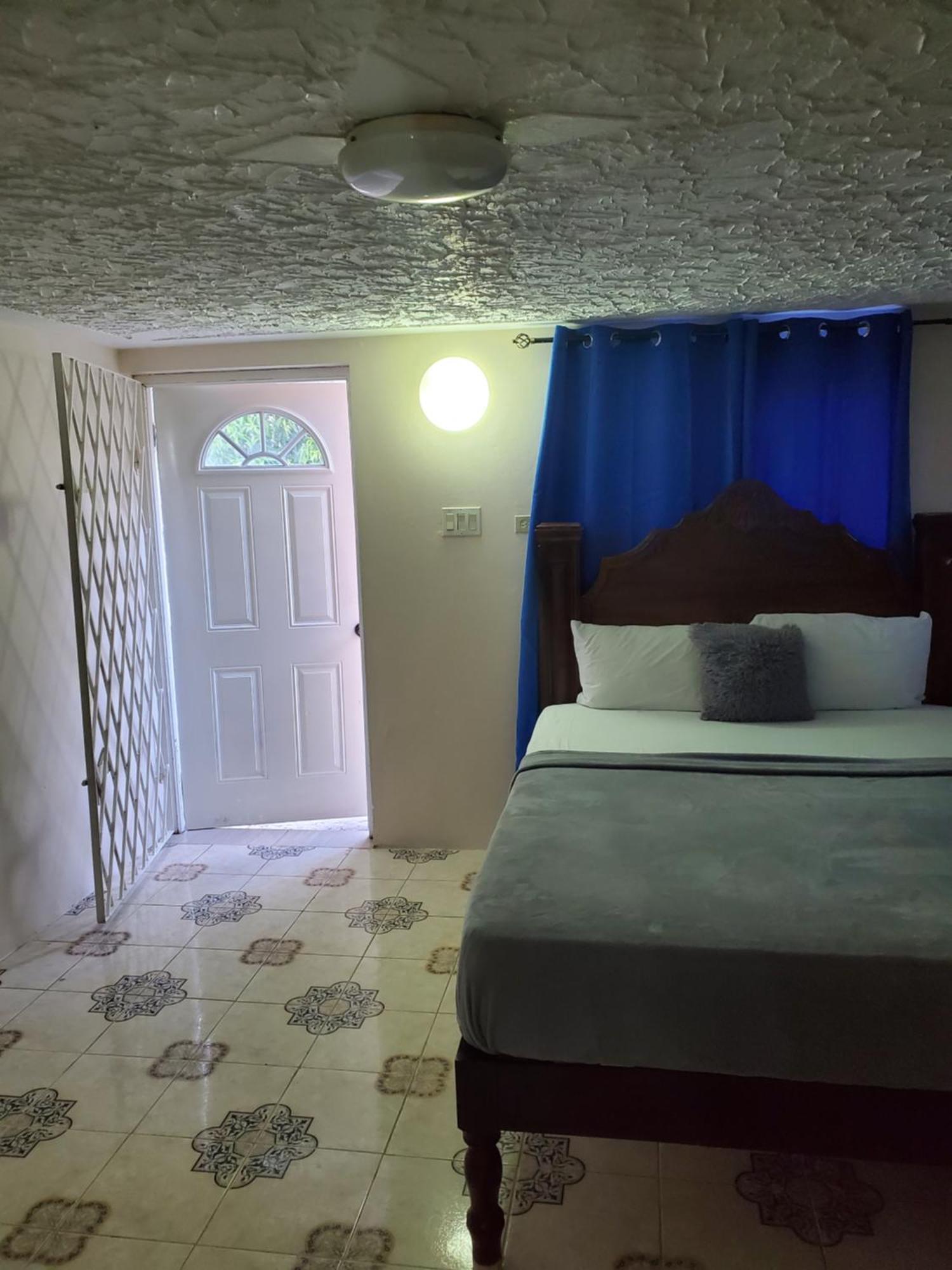 Wizzy Apartment White River Очо Риос Стая снимка