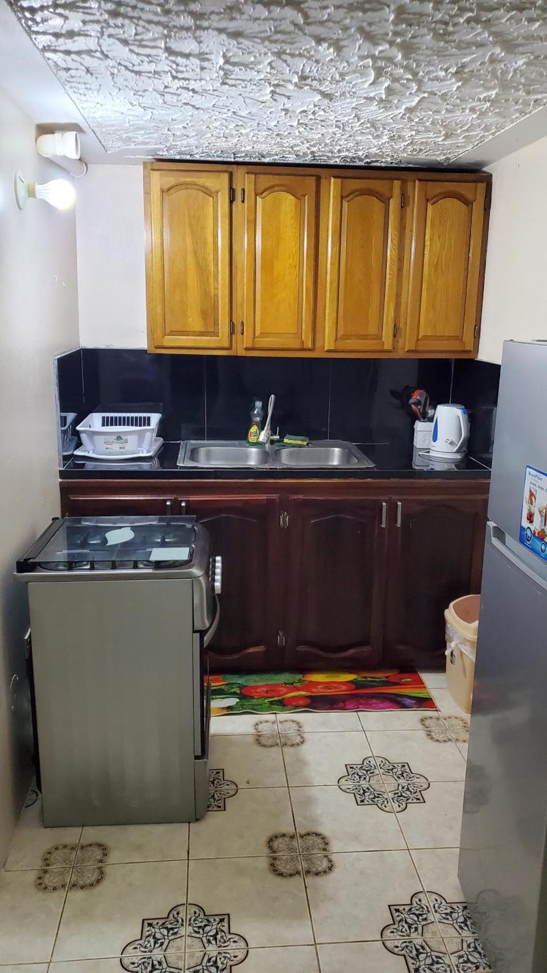 Wizzy Apartment White River Очо Риос Екстериор снимка
