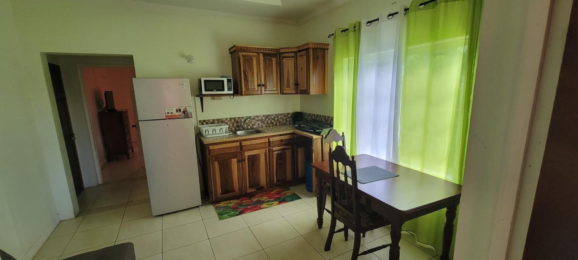 Wizzy Apartment White River Очо Риос Екстериор снимка