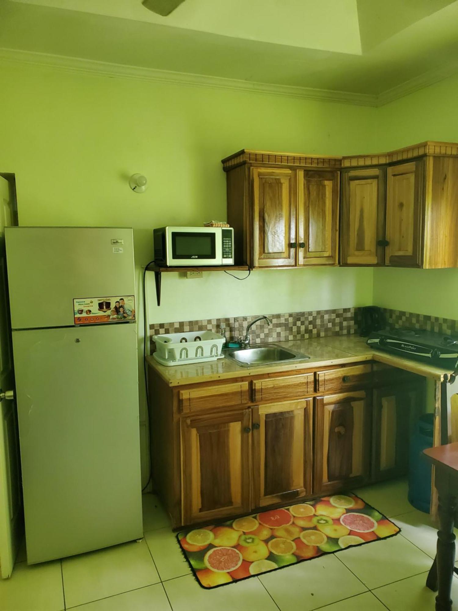 Wizzy Apartment White River Очо Риос Екстериор снимка