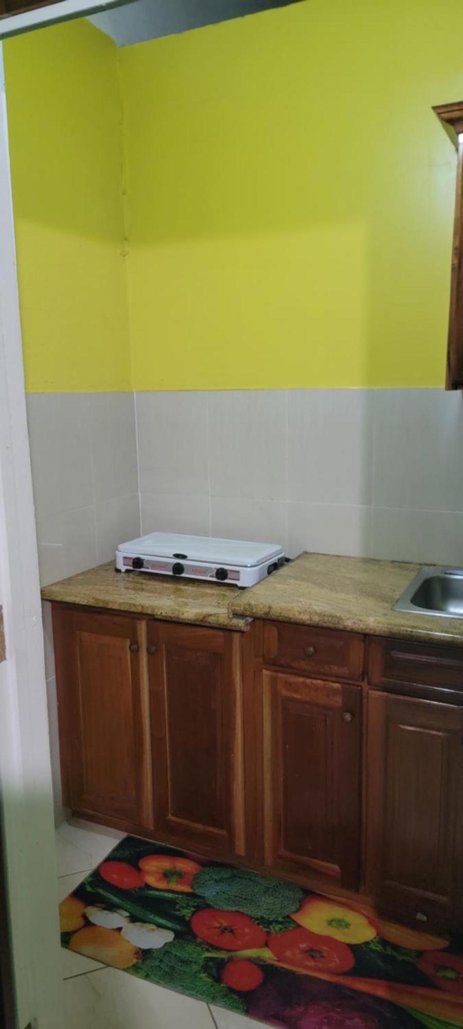 Wizzy Apartment White River Очо Риос Стая снимка