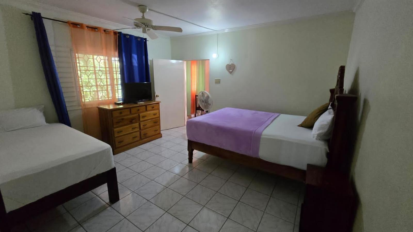 Wizzy Apartment White River Очо Риос Стая снимка
