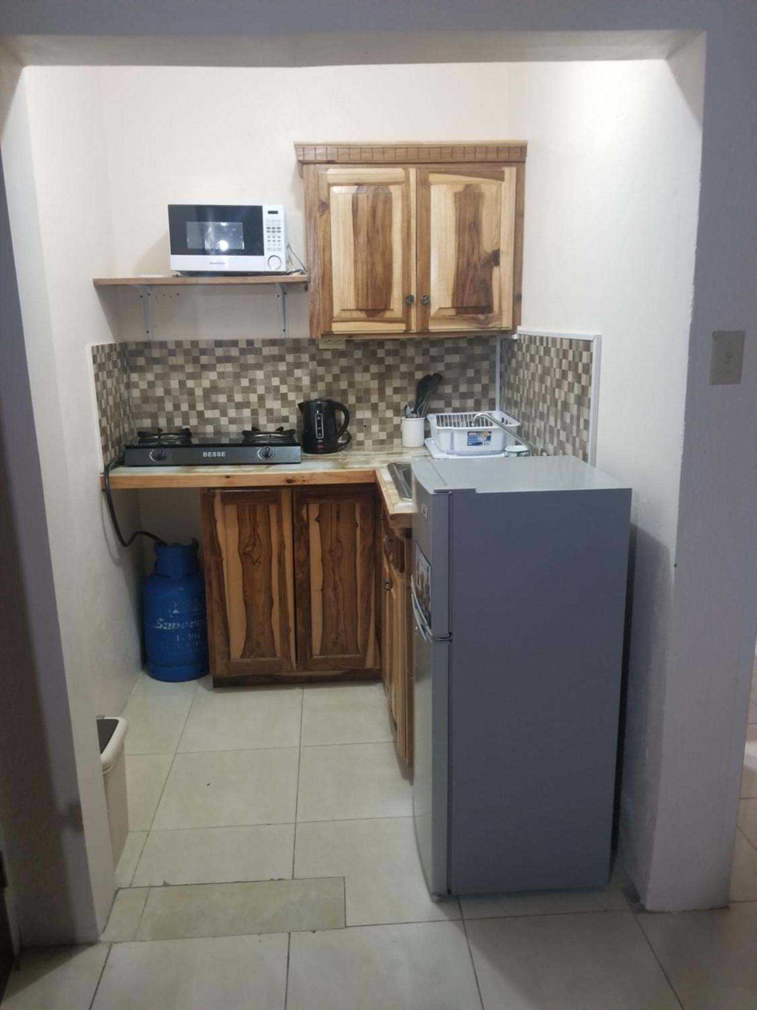 Wizzy Apartment White River Очо Риос Екстериор снимка