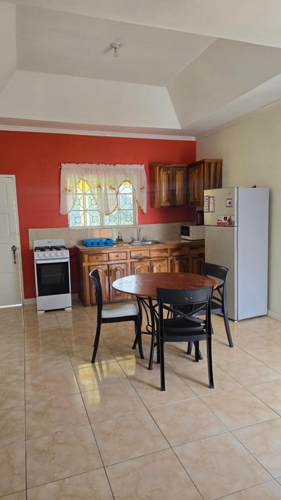 Wizzy Apartment White River Очо Риос Екстериор снимка