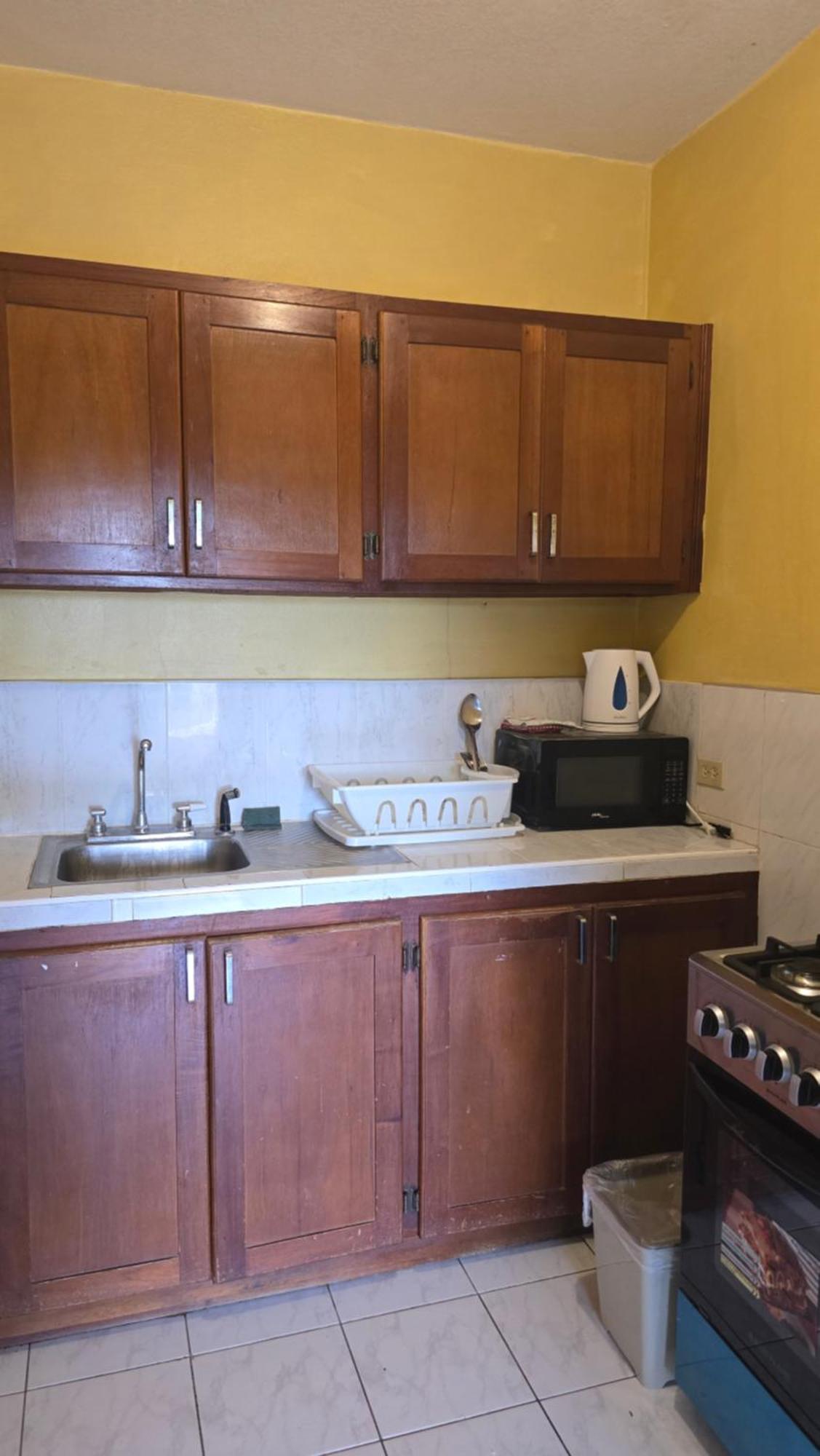 Wizzy Apartment White River Очо Риос Стая снимка